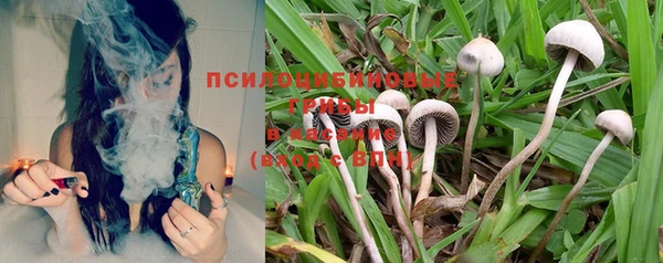 PSILOCYBIN Армянск