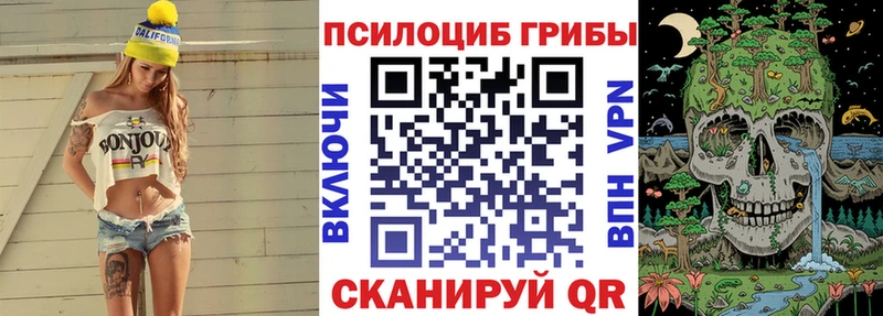 Купить где  Ковдор  Галлюциногенные грибы мицелий 